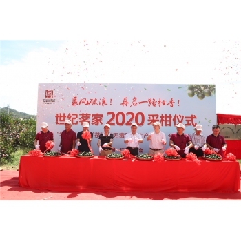 【活动篇】jinnianhui.com2020采柑仪式